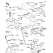 KAWASAKI - ULTRA 250X 2008 - Hull Front Fittings(B8F)